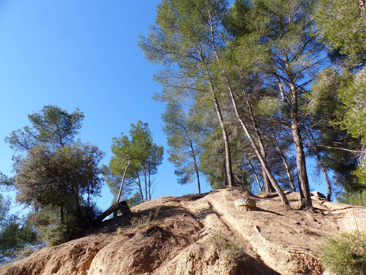 ( Gérard ) Gardanne - Mur de Gueydan - Jeudi 25 janvier 2024 Cqilvp