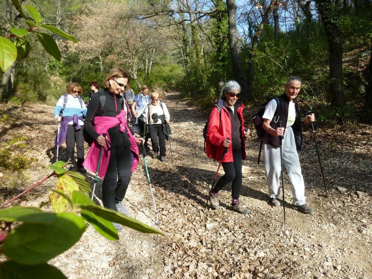 ( Colette ) Gardanne - Jeudi après-midi 8 février 2024 DCPJH9