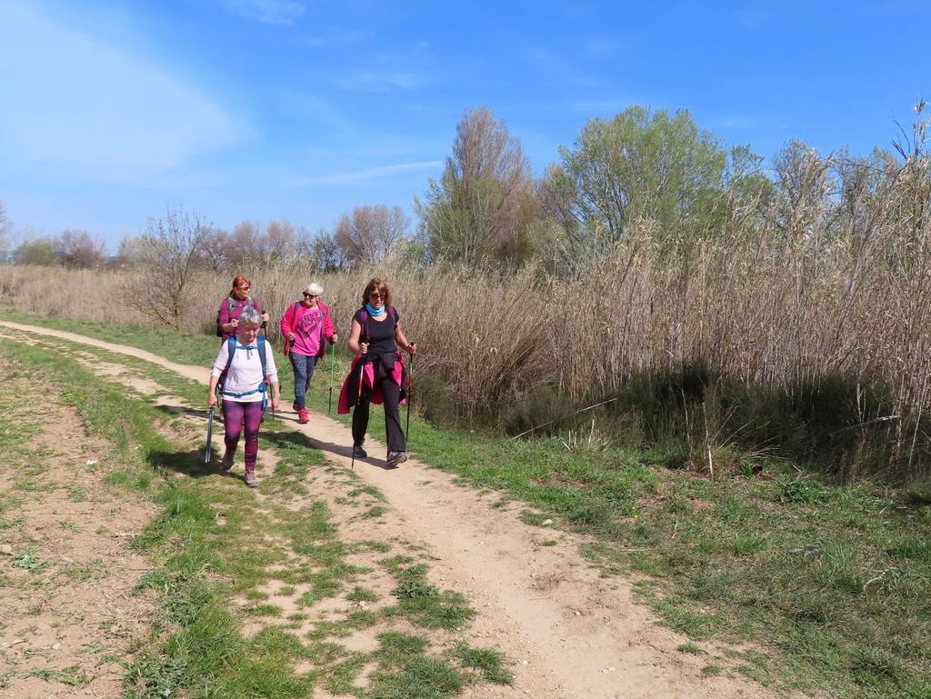 (Pierre) Berre l'Etang - Samedi matin 18 mars 2023 EiMR2Z