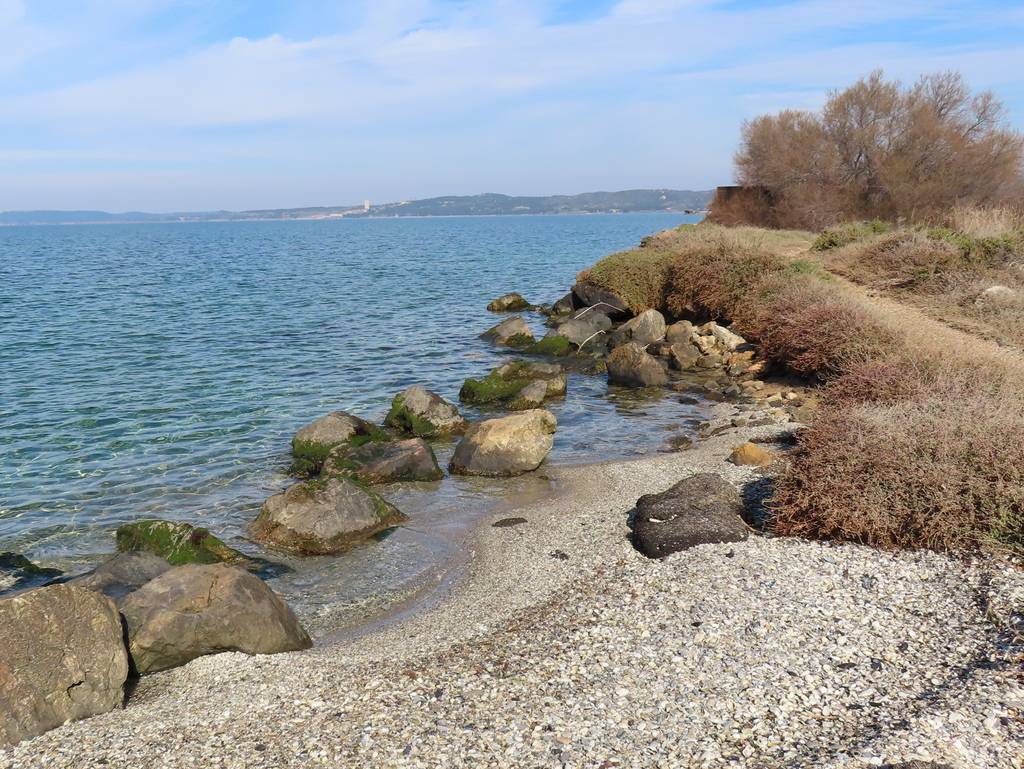 (Pierre) Berre l'Etang - Samedi matin 18 mars 2023 LBGwNy