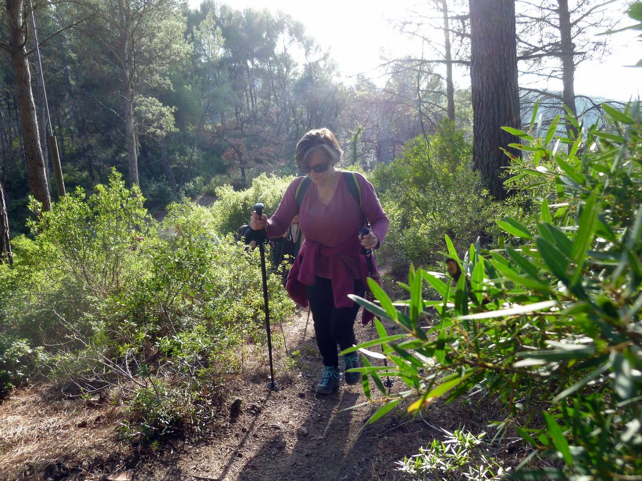 ( Colette ) Gardanne - Jeudi après-midi 8 février 2024 N2n4Kz