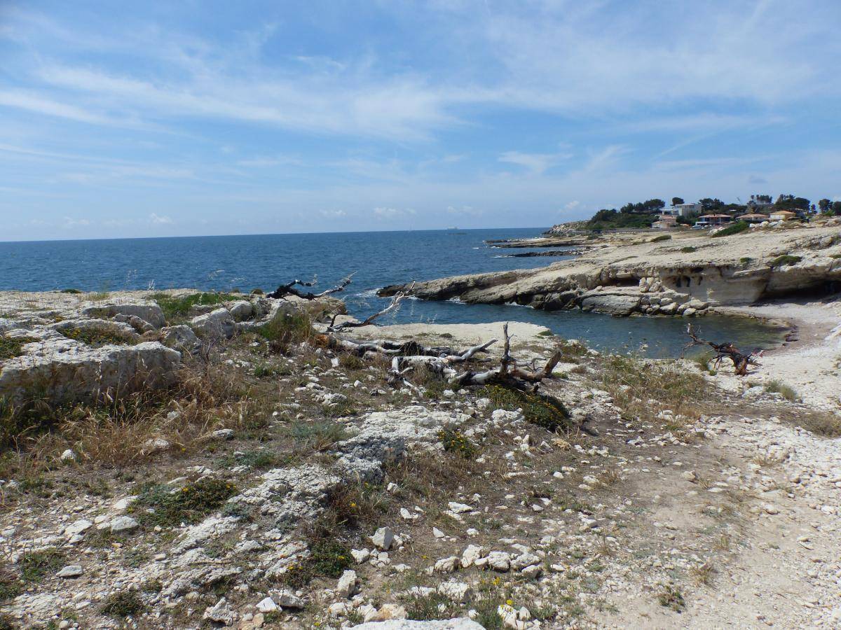 (Jean-Marie et Gérard ) St Julien les Martigues - Jeudi 8 juin 2023 NYgmdR