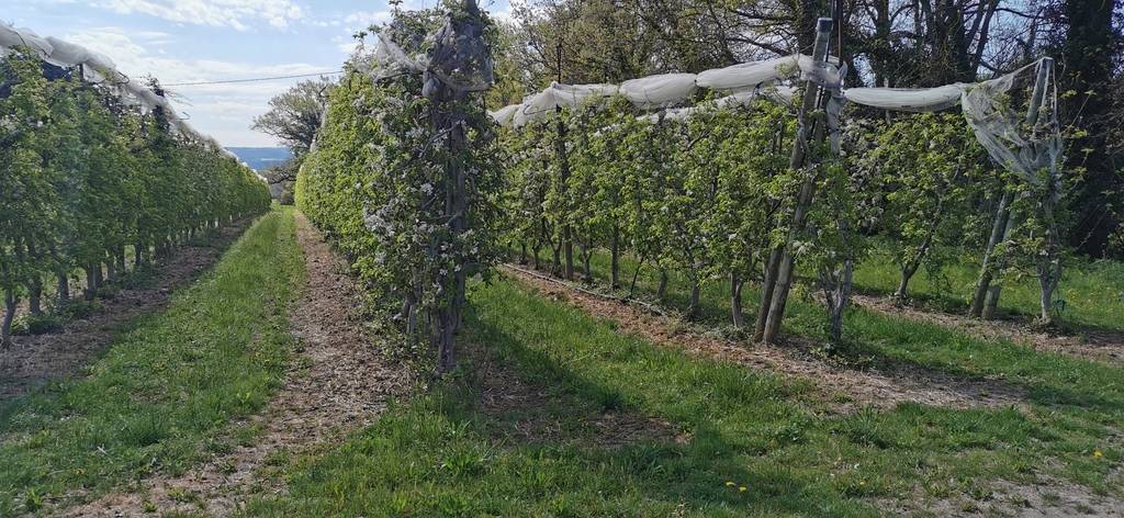 (René et Jes) Manosque- Volx - Jeudi 20 avril 2023 QvZyhk