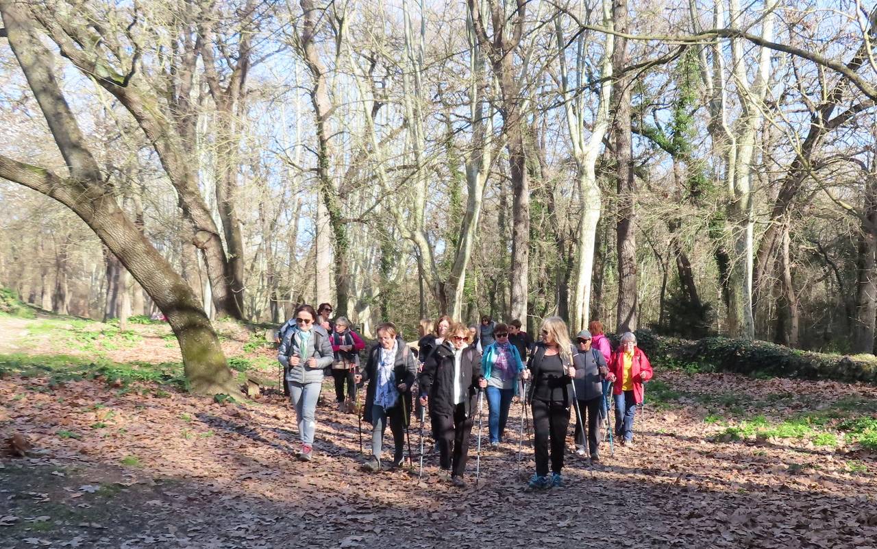 ( Colette ) Bouc Bel Air - Jeudi après-midi 7 mars 2024 RtC9A7