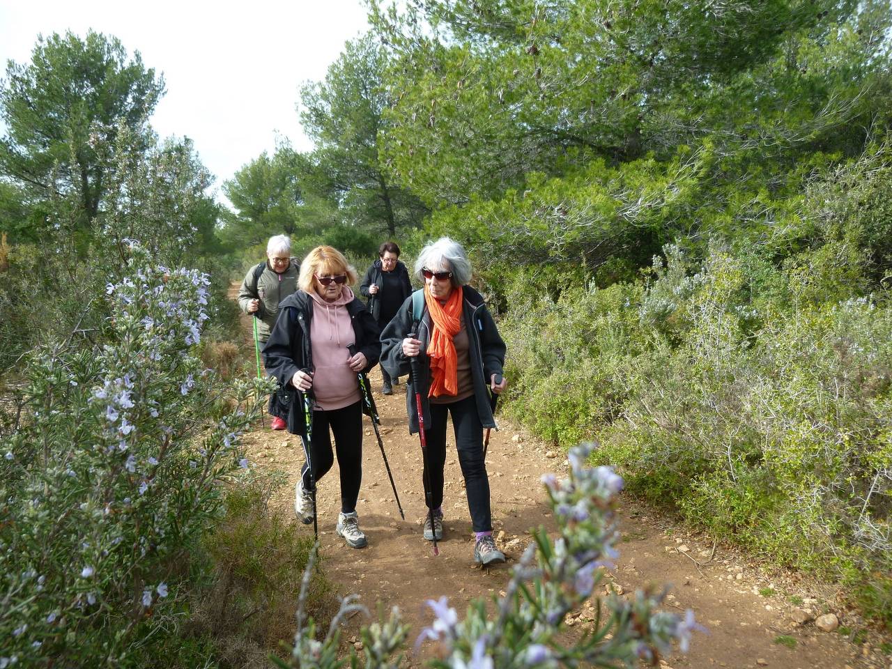 ( Colette ) Septèmes - Jeudi après-midi 15 février 2024 V22Mhe