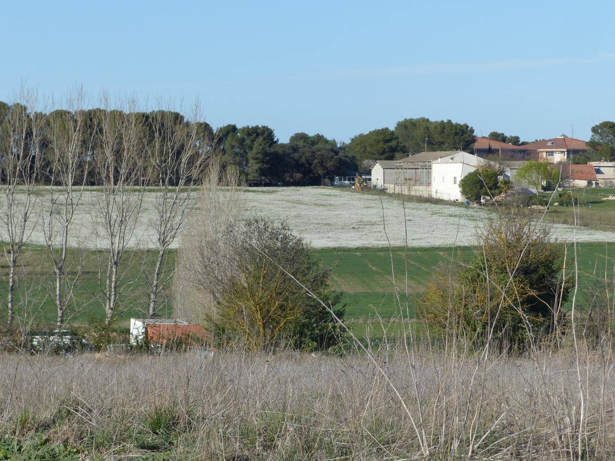 ( Gérard ) Cabriès - Calas - Jeudi 7 mars 2024 YX6t8o