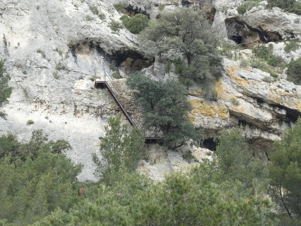 ( René et Pierre ) St Rémy de Provence - Jeudi 28 mars 2024 ZO2X3f