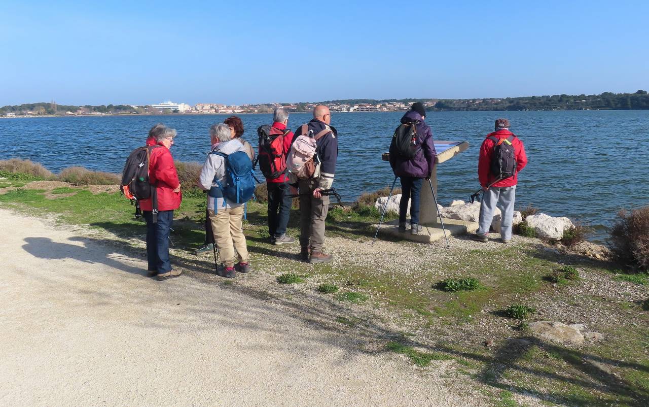 ( Gérard ) Fos sur Mer - Jeudi 29 février 2024 DKTg2v