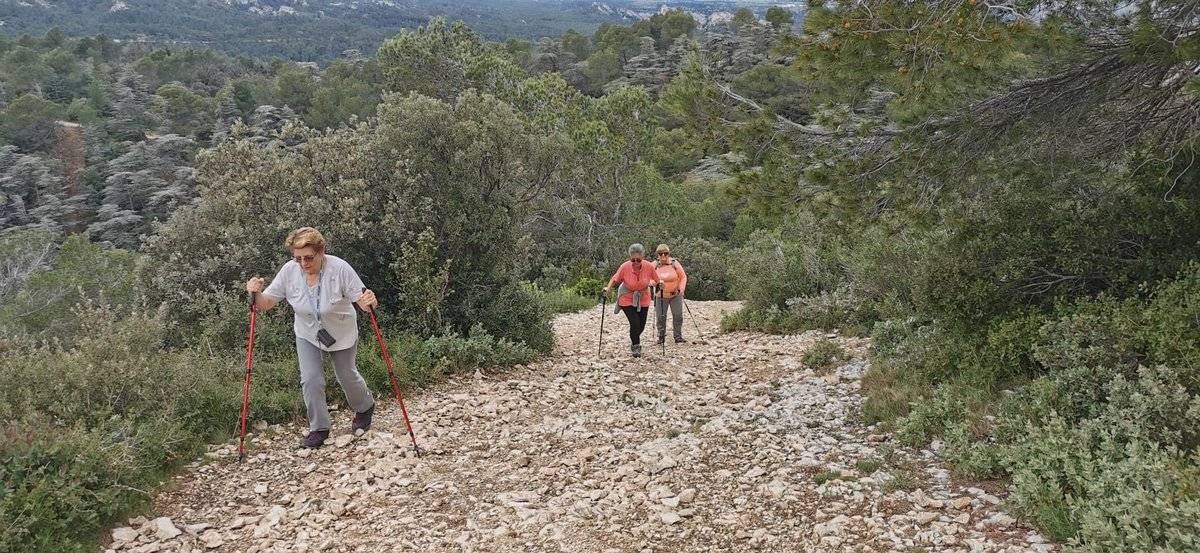 ( René et Pierre ) St Rémy de Provence - Jeudi 28 mars 2024 GTiKSW