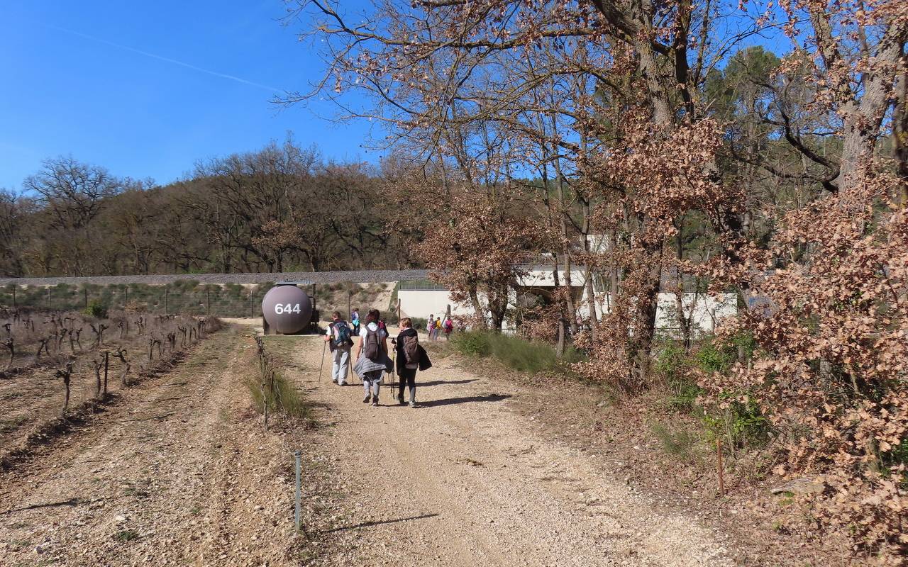 ( Colette ) Bouc Bel Air - Jeudi après-midi 7 mars 2024 PF1riy