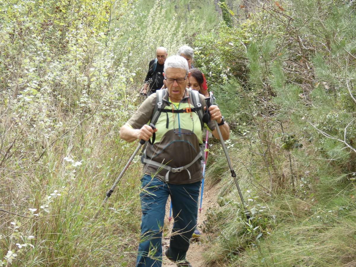 ( René et Pierre ) St Rémy de Provence - Jeudi 28 mars 2024 QJCV9K