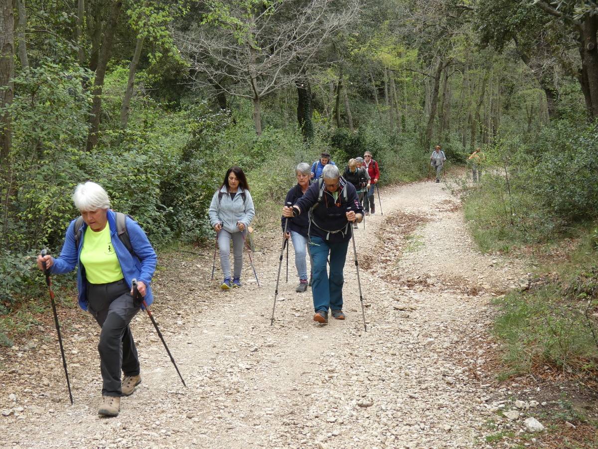 ( René et Pierre ) St Rémy de Provence - Jeudi 28 mars 2024 Qa96Lm