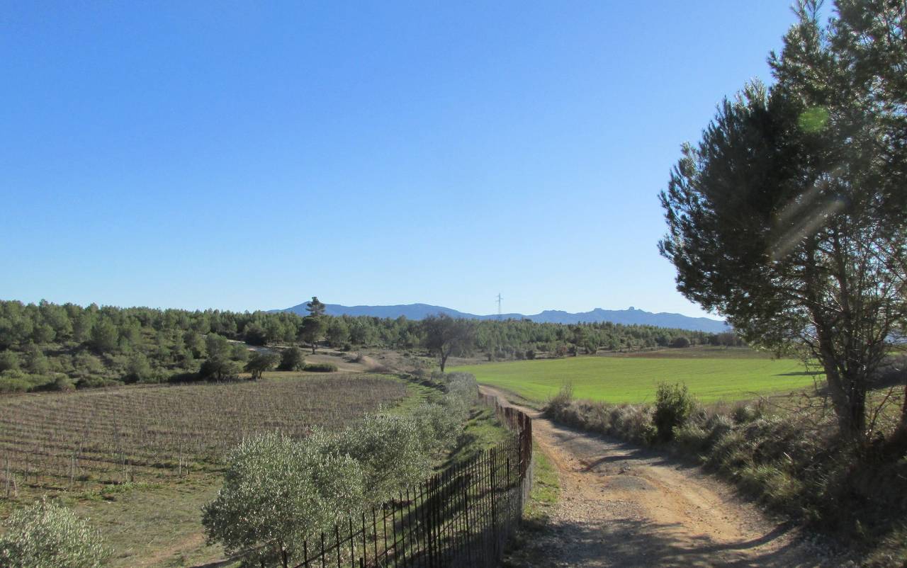 ( Gérard ) Gardanne - Mur de Gueydan - Jeudi 25 janvier 2024 SHYzHV