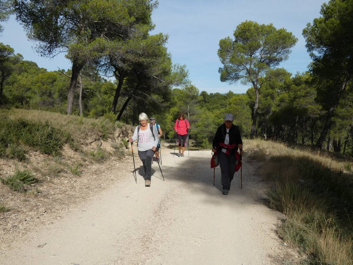 (Pierre) Meyrargues - Dimanche 15 octobre 2023 SnvclR