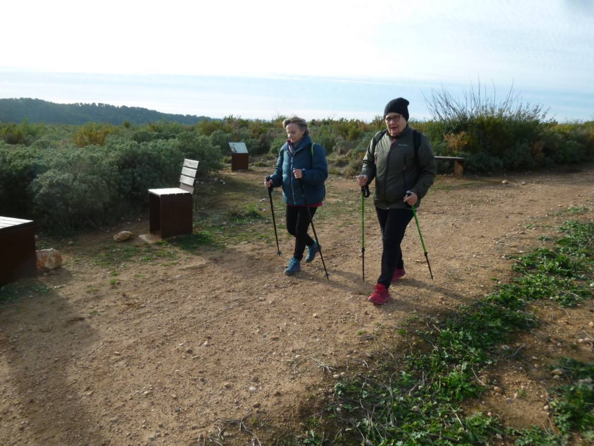 ( Colette ) Les Pennes Mirabeau - Jeudi après-midi 7 décembre 2023 TFYLNi