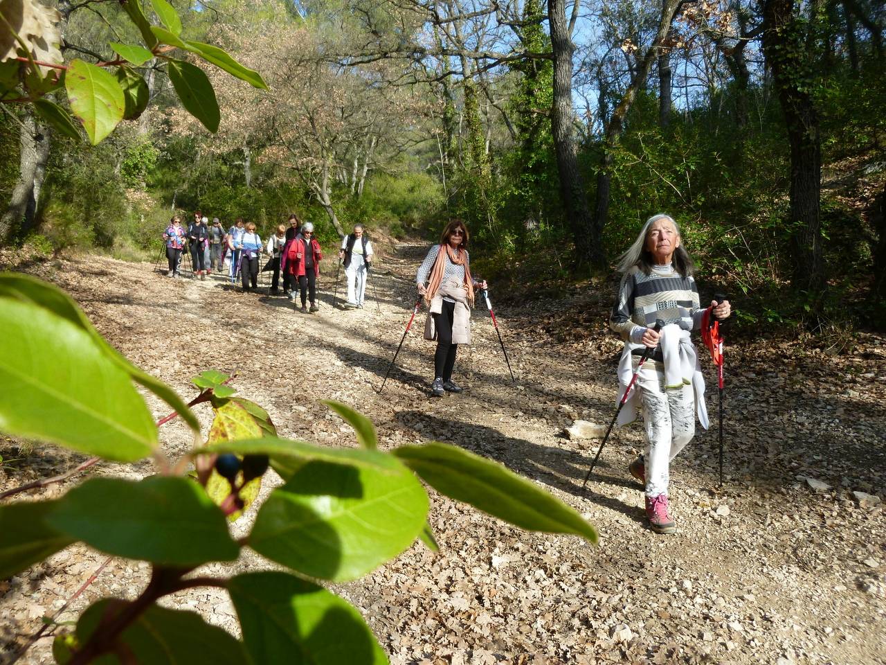 ( Colette ) Gardanne - Jeudi après-midi 8 février 2024 UTNq1t