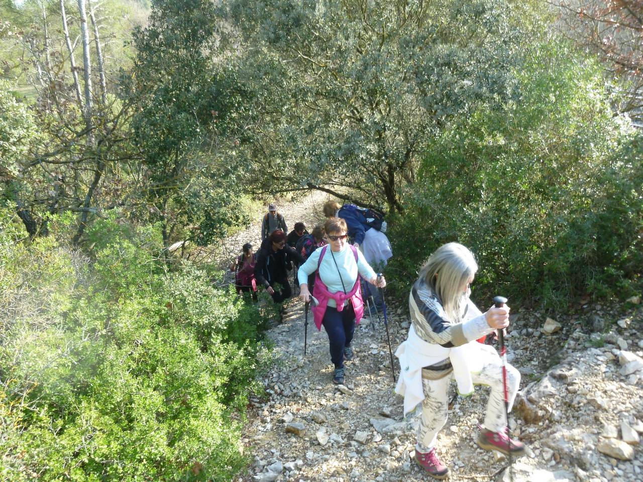 ( Colette ) Gardanne - Jeudi après-midi 8 février 2024 2Ro0D1