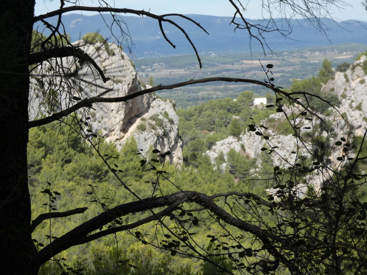 (Pierre) Meyrargues - Dimanche 15 octobre 2023 2oNqU4