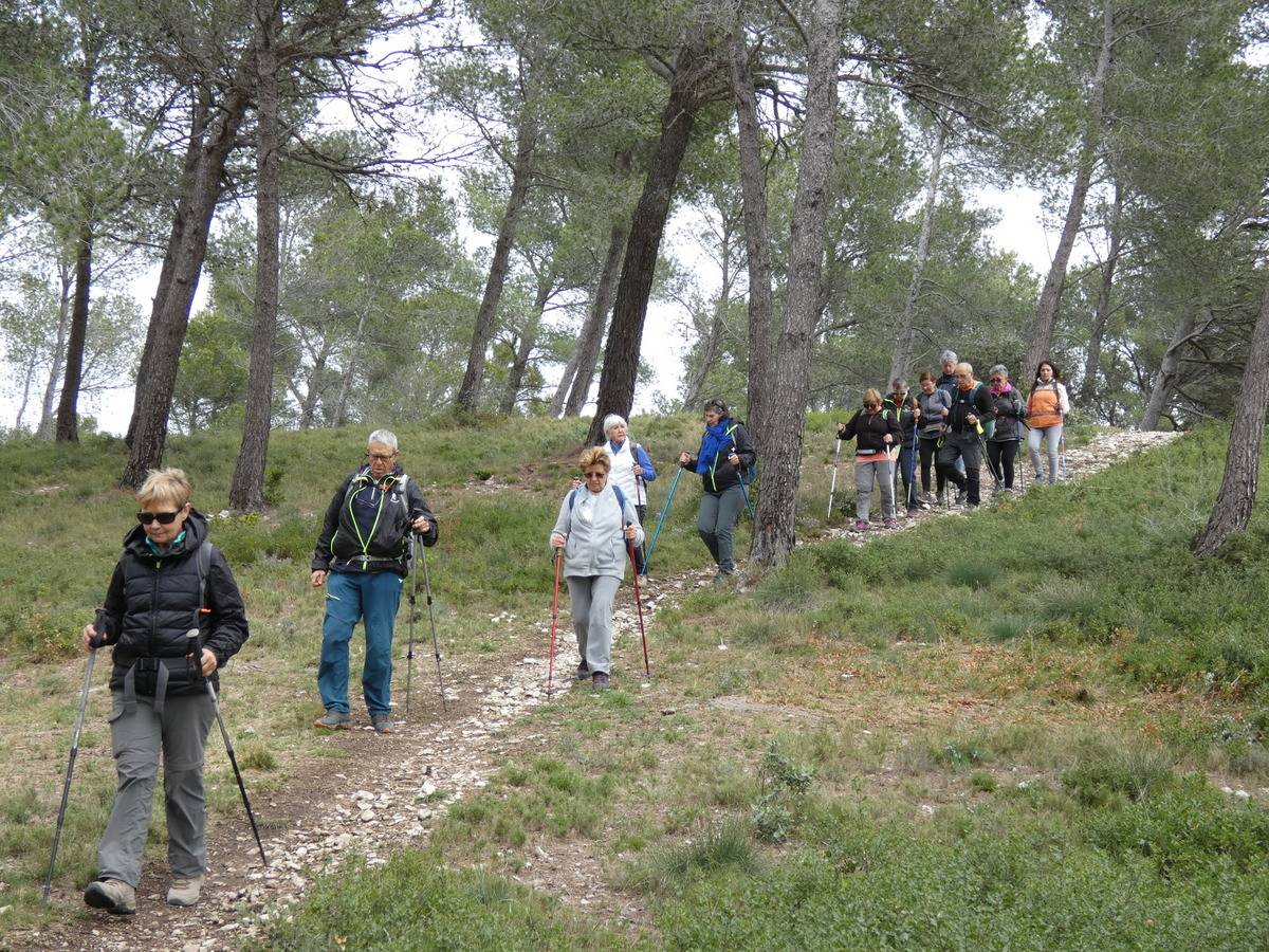 ( René et Pierre ) St Rémy de Provence - Jeudi 28 mars 2024 E6SOSE