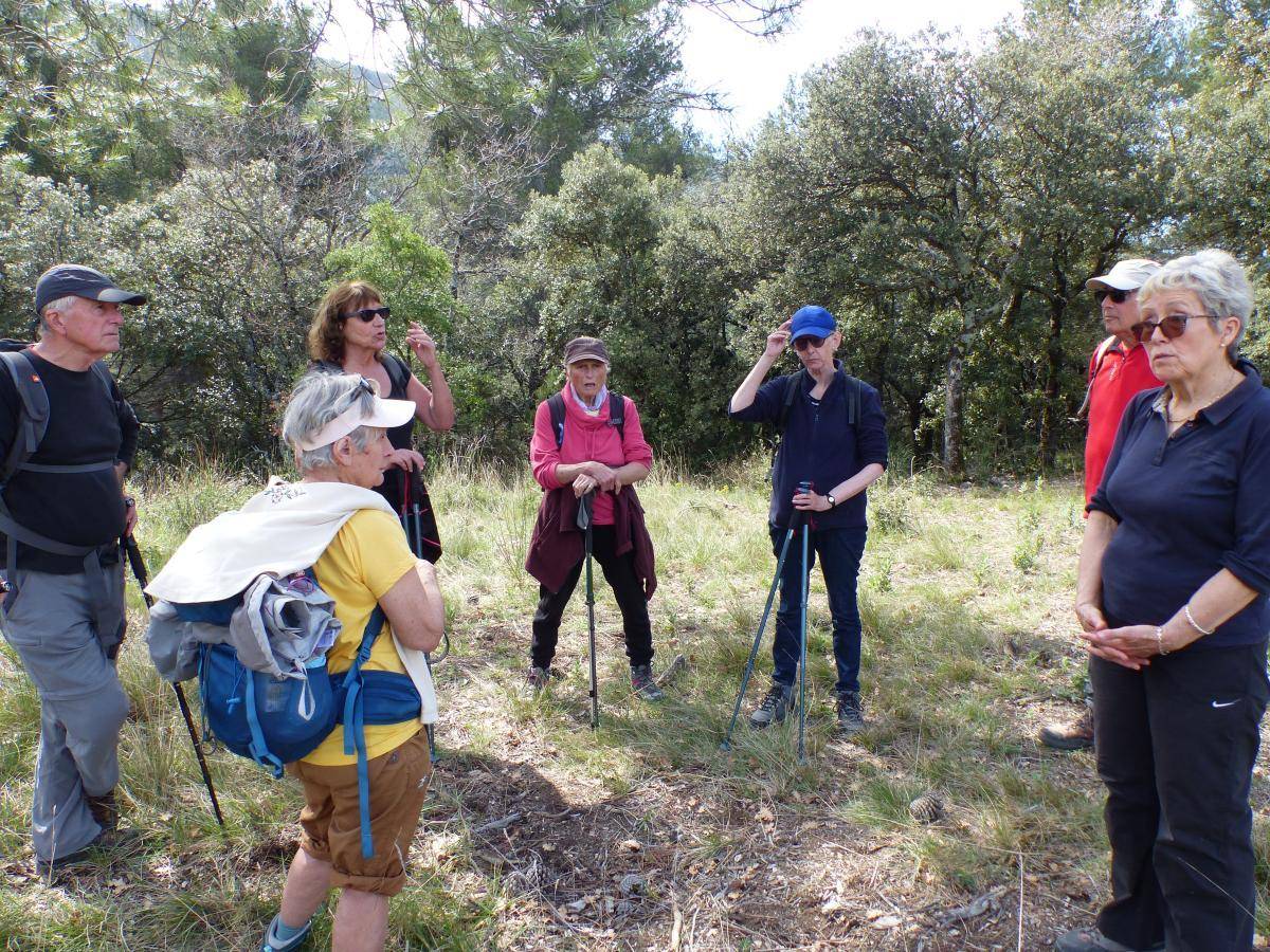 ( Gérard ) Vauvenargues - Jeudi 4 avril 2024 FuLwtE