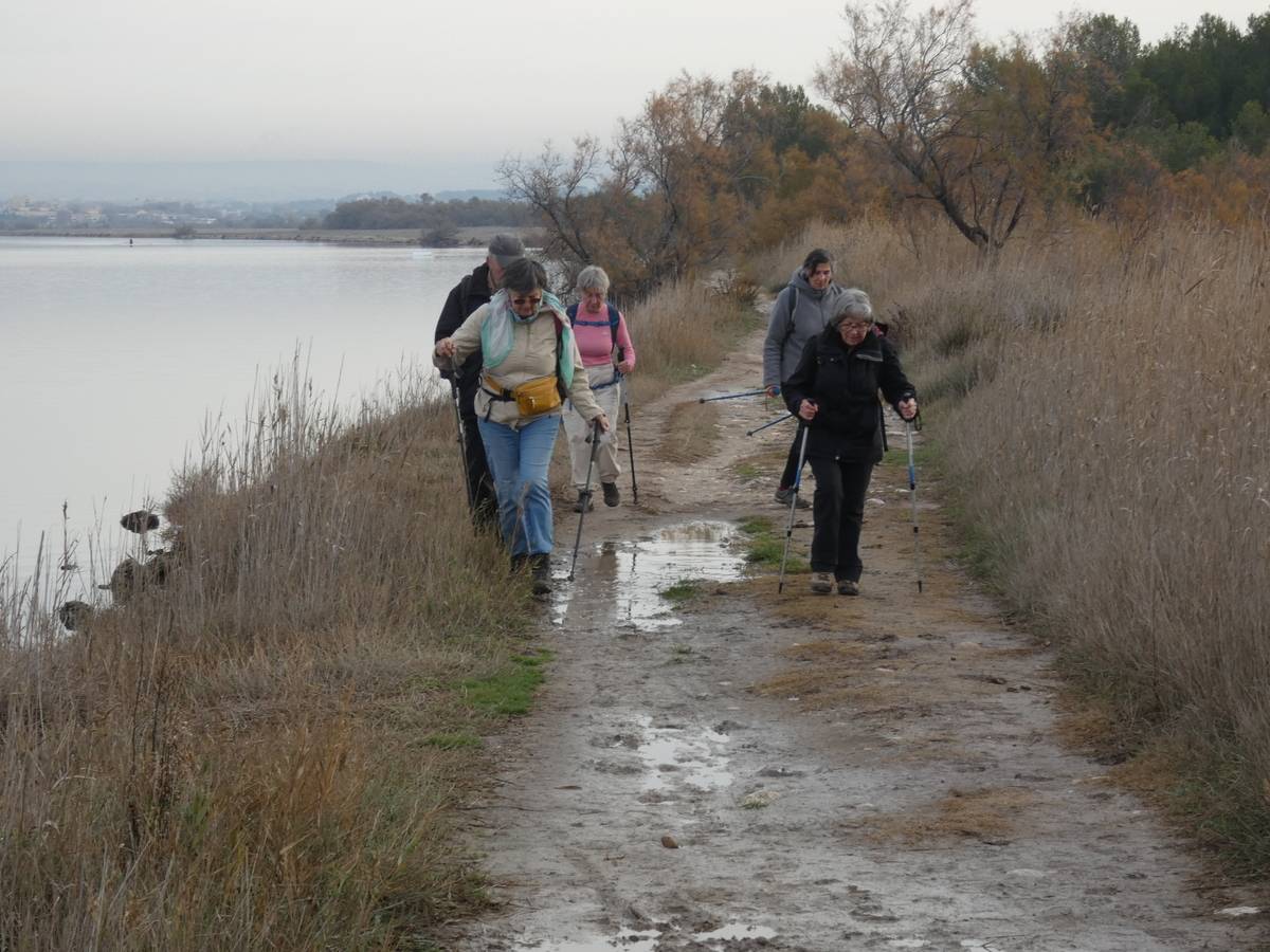 (Pierre) Marignane - Etang de Bolmon - samedi matin 9 décembre 2023 IRoAH4