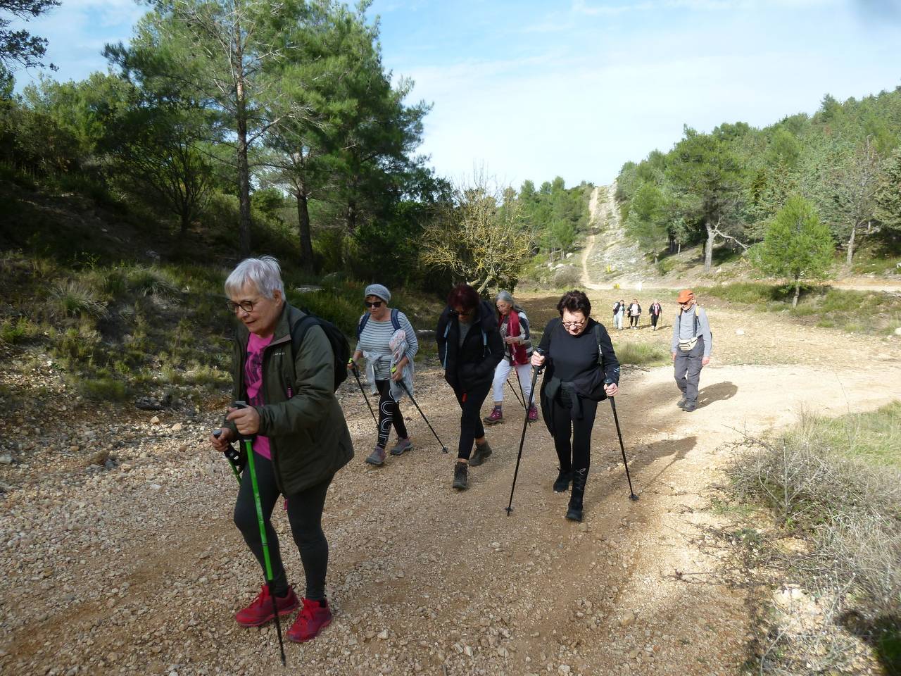 ( Colette ) Septèmes - Jeudi après-midi 15 février 2024 KZjMYJ