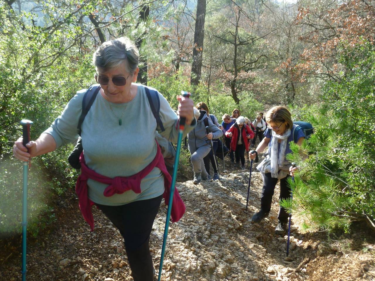 ( Colette ) Gardanne - Jeudi après-midi 8 février 2024 L1j5A7