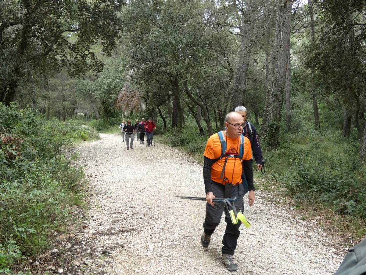 ( René et Pierre ) St Rémy de Provence - Jeudi 28 mars 2024 NNQvJh