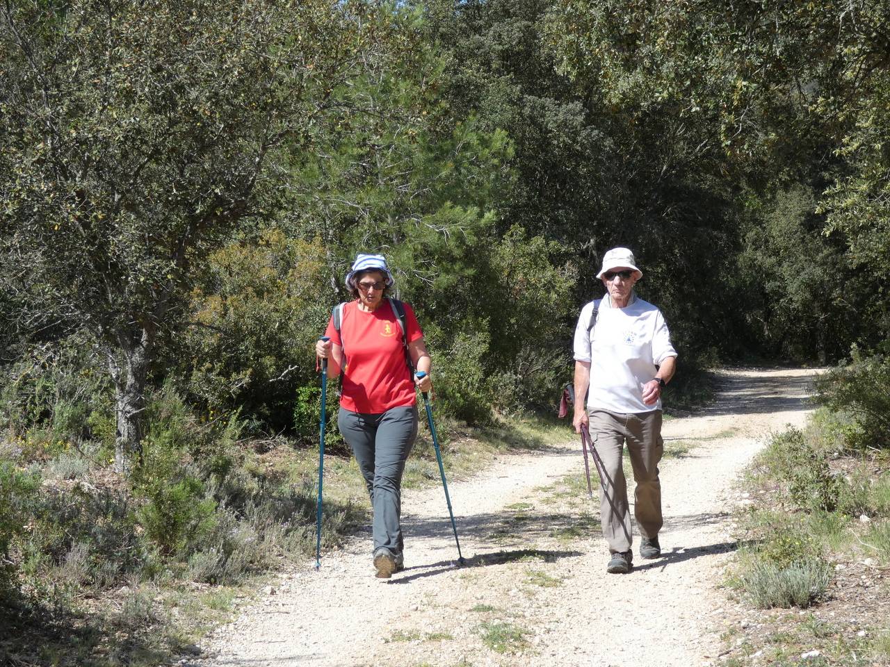 (Pierre) Calas -Plateau de l'Arbois - Samedi matin 6 mai 2023 OpoJ8E