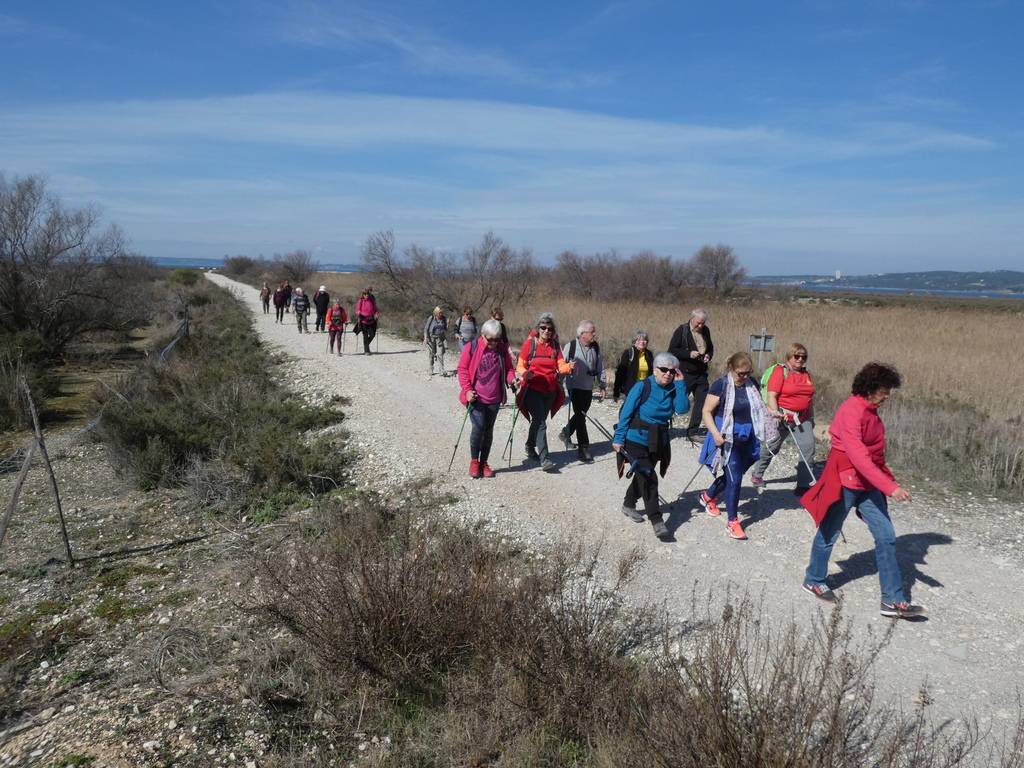 (Pierre) Berre l'Etang - Samedi matin 18 mars 2023 Pcyzfb