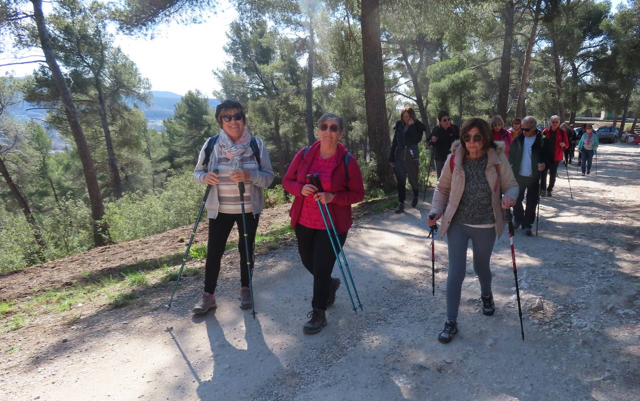 ( Colette ) Bouc Bel Air - Jeudi après-midi 7 mars 2024 QeKwo1