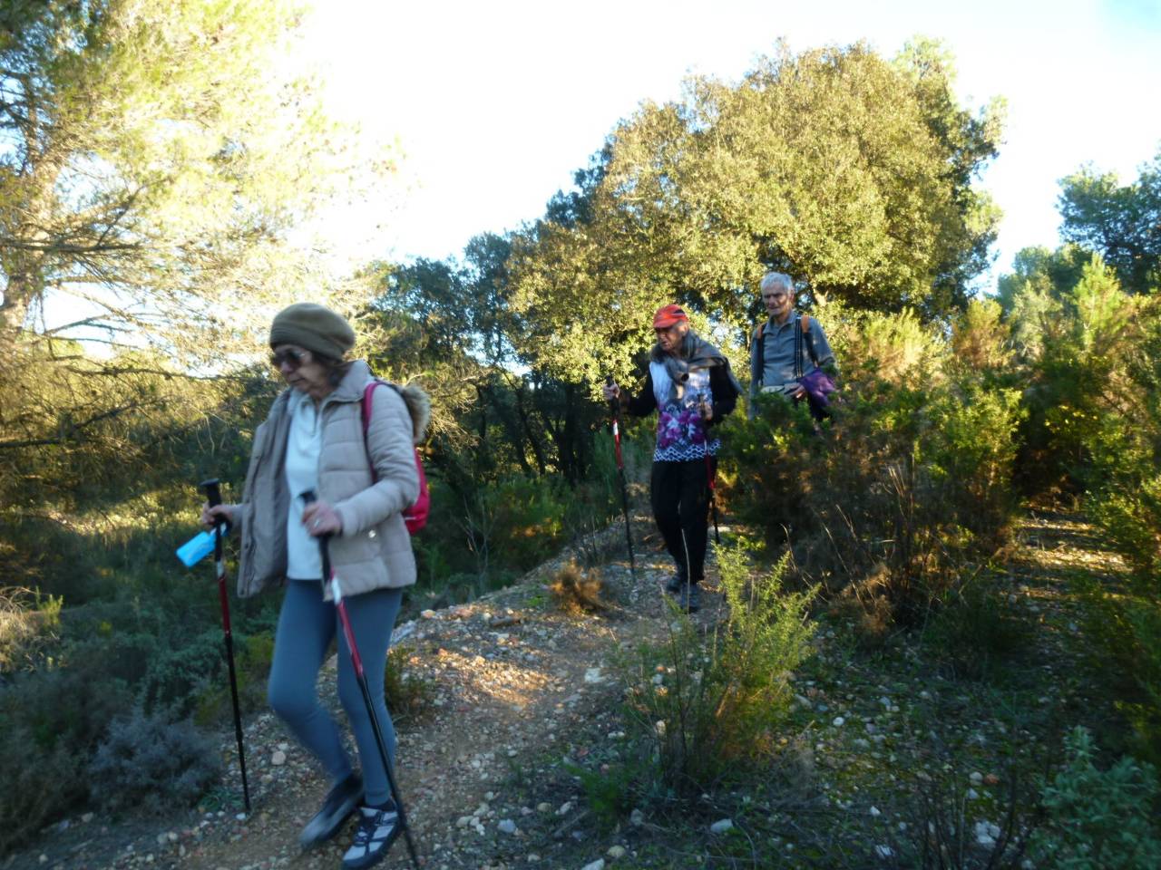 ( Colette ) Les Pennes Mirabeau - Jeudi après-midi 25 janvier 2024 SPObcW