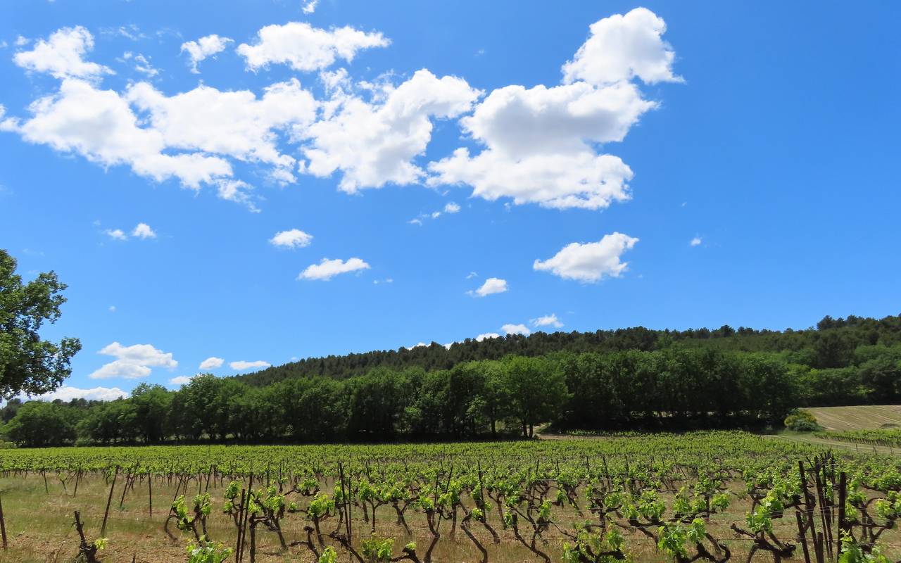 ( Jean Marie et Gérard ) Lourmarin - Jeudi 11 mai 2023 UFaGMc