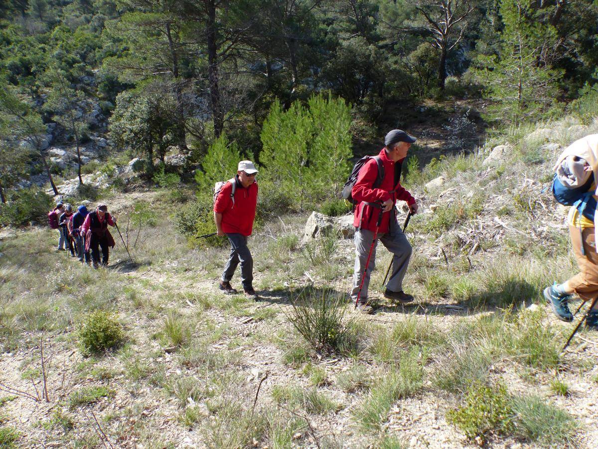 ( Gérard ) Vauvenargues - Jeudi 4 avril 2024 Xc4SqB