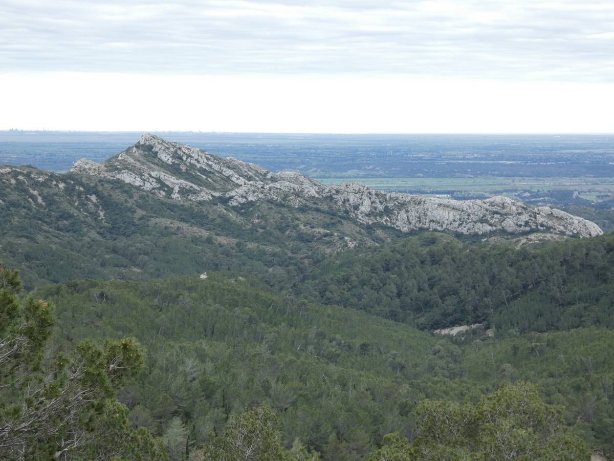 ( René et Pierre ) St Rémy de Provence - Jeudi 28 mars 2024 Xqx6lA