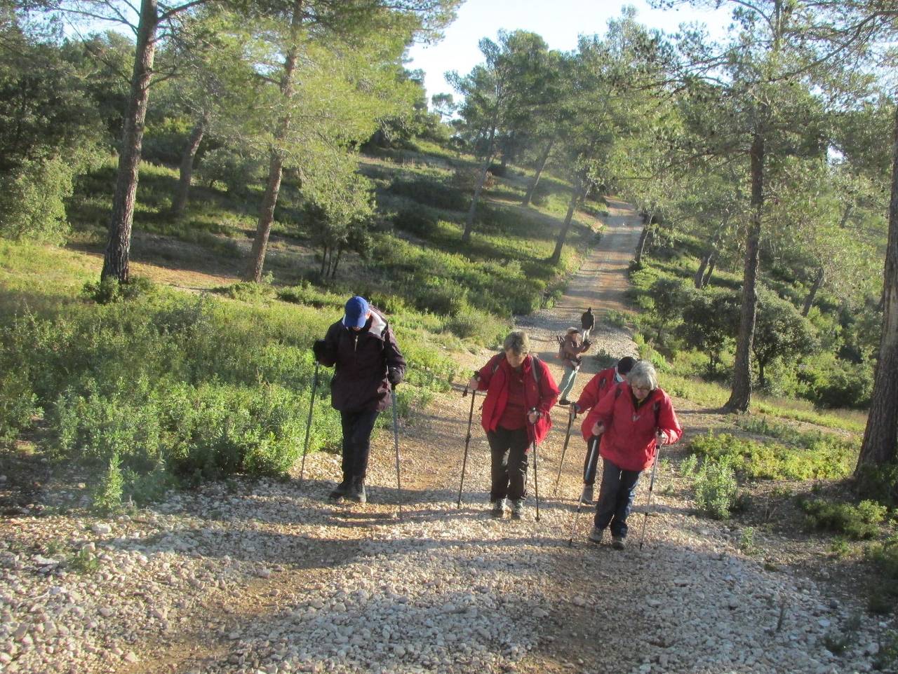 ( Gérard ) Gardanne - Mur de Gueydan - Jeudi 25 janvier 2024 YA7z7D