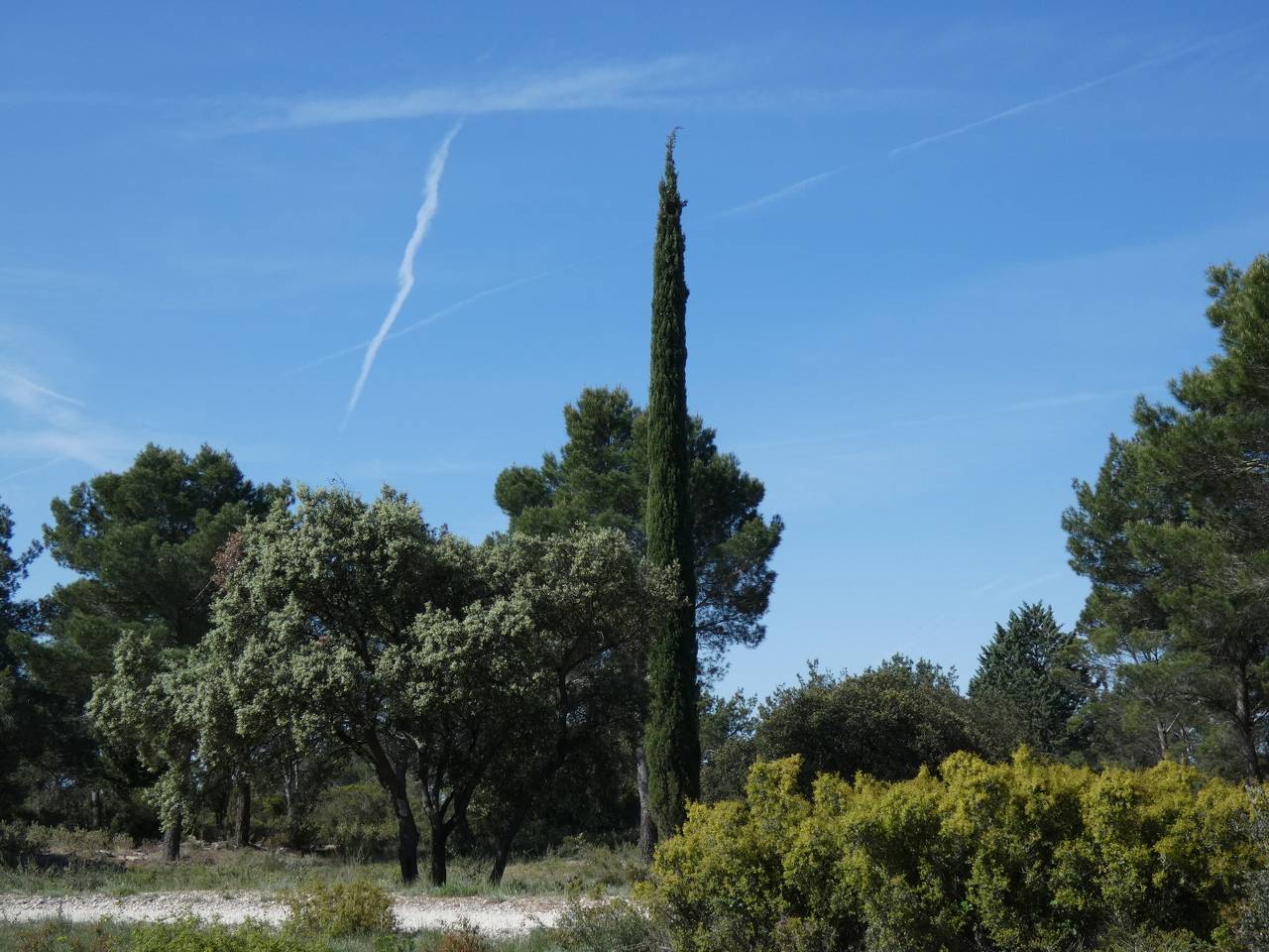 (Pierre) Calas -Plateau de l'Arbois - Samedi matin 6 mai 2023 A2ETdP