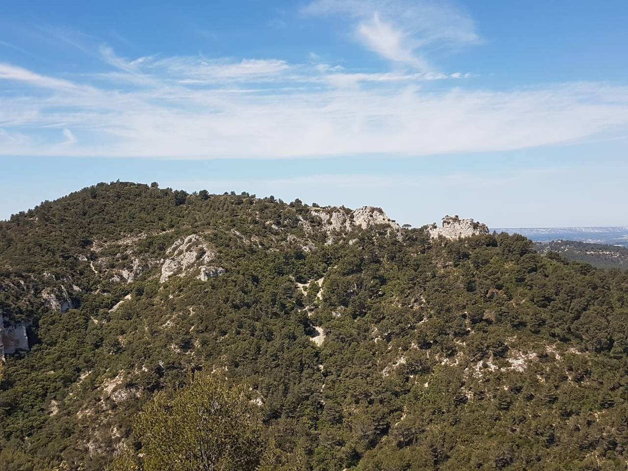 (René et Jes) La Roque d'Anthéron - Jeudi 4 mai 2023 CMEhyi