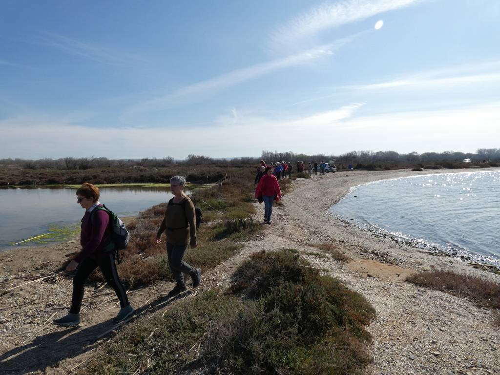 (Pierre) Berre l'Etang - Samedi matin 18 mars 2023 DEoFo0