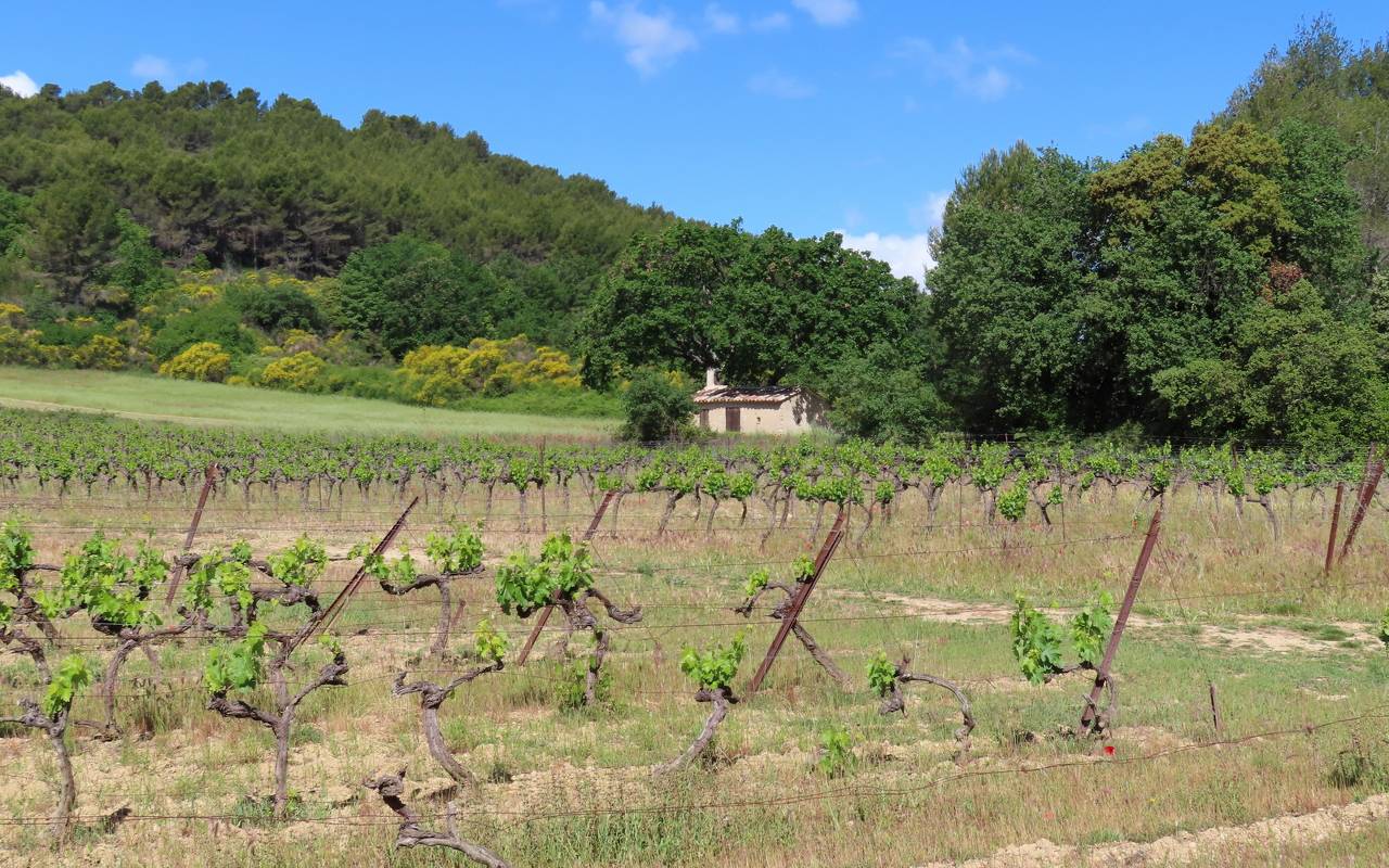 ( Jean Marie et Gérard ) Lourmarin - Jeudi 11 mai 2023 EBhdc6