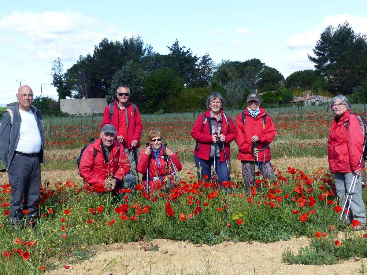 ( Jean Marie et Gérard ) Lourmarin - Jeudi 11 mai 2023 F2fcIw