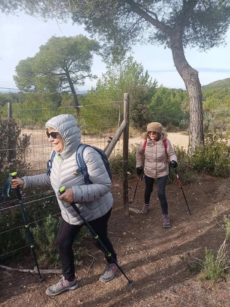 ( Colette ) Vitrolles - Jeudi après-midi 1er février 2024 GlQugH