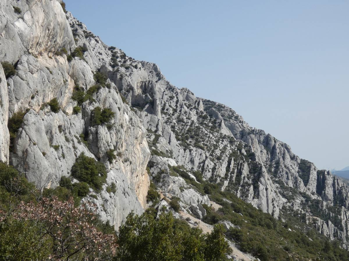 ( René et Pierre ) Puyloubier - Jeudi 21 mars 2024 Lrs6JC