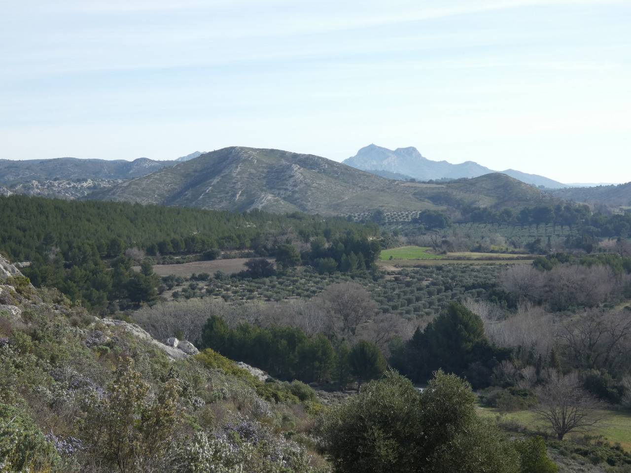 (Pierre) Mouriès- Dimanche 18 février 2024 Ocjogl