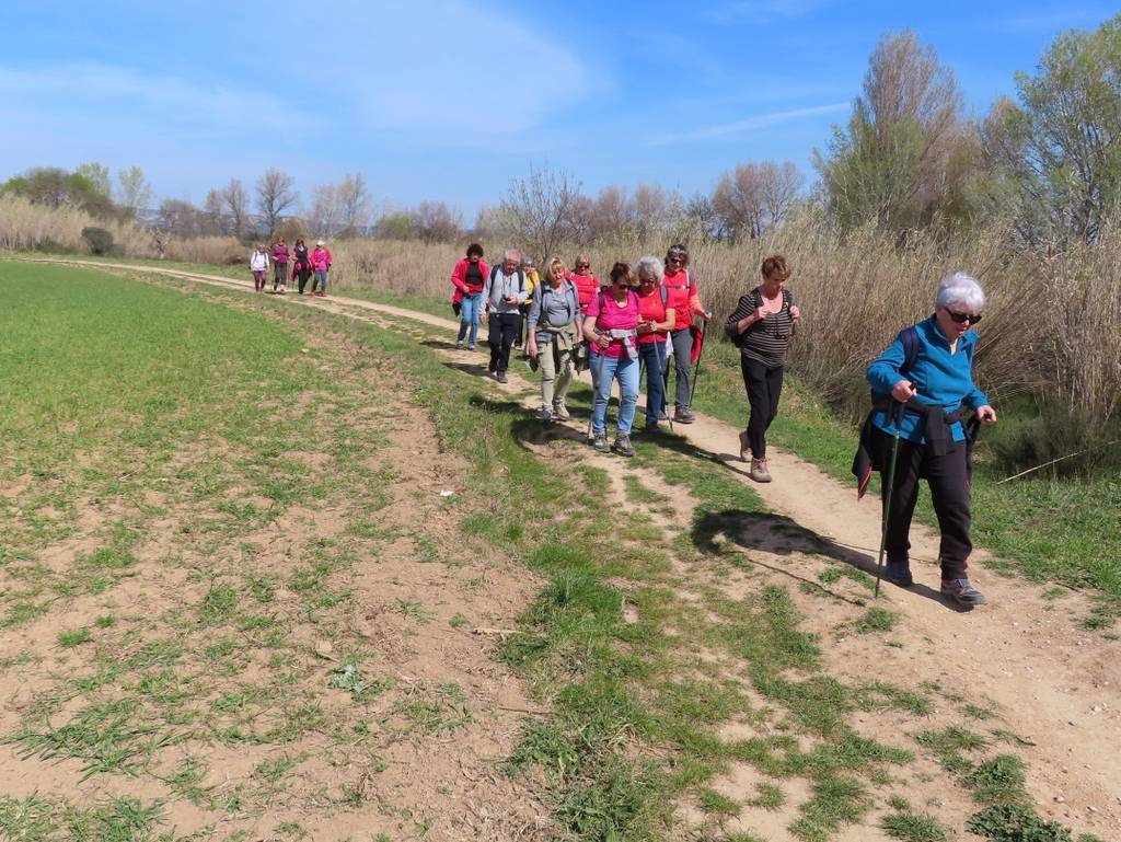 (Pierre) Berre l'Etang - Samedi matin 18 mars 2023 QrWfjS