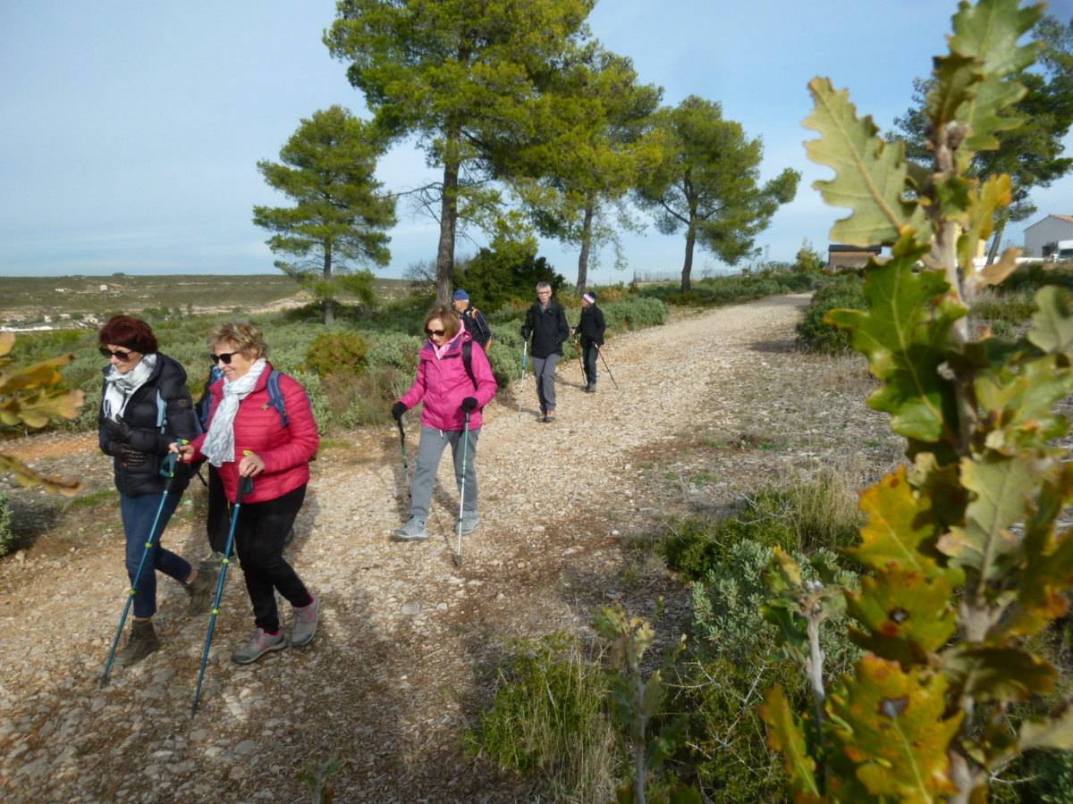 ( Colette ) Les Pennes Mirabeau - Jeudi après-midi 7 décembre 2023 SO0VAN