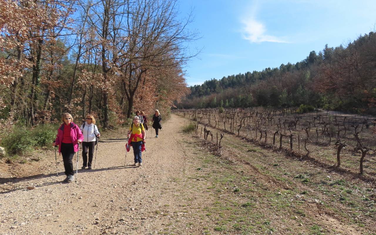 ( Colette ) Bouc Bel Air - Jeudi après-midi 7 mars 2024 VelUOS