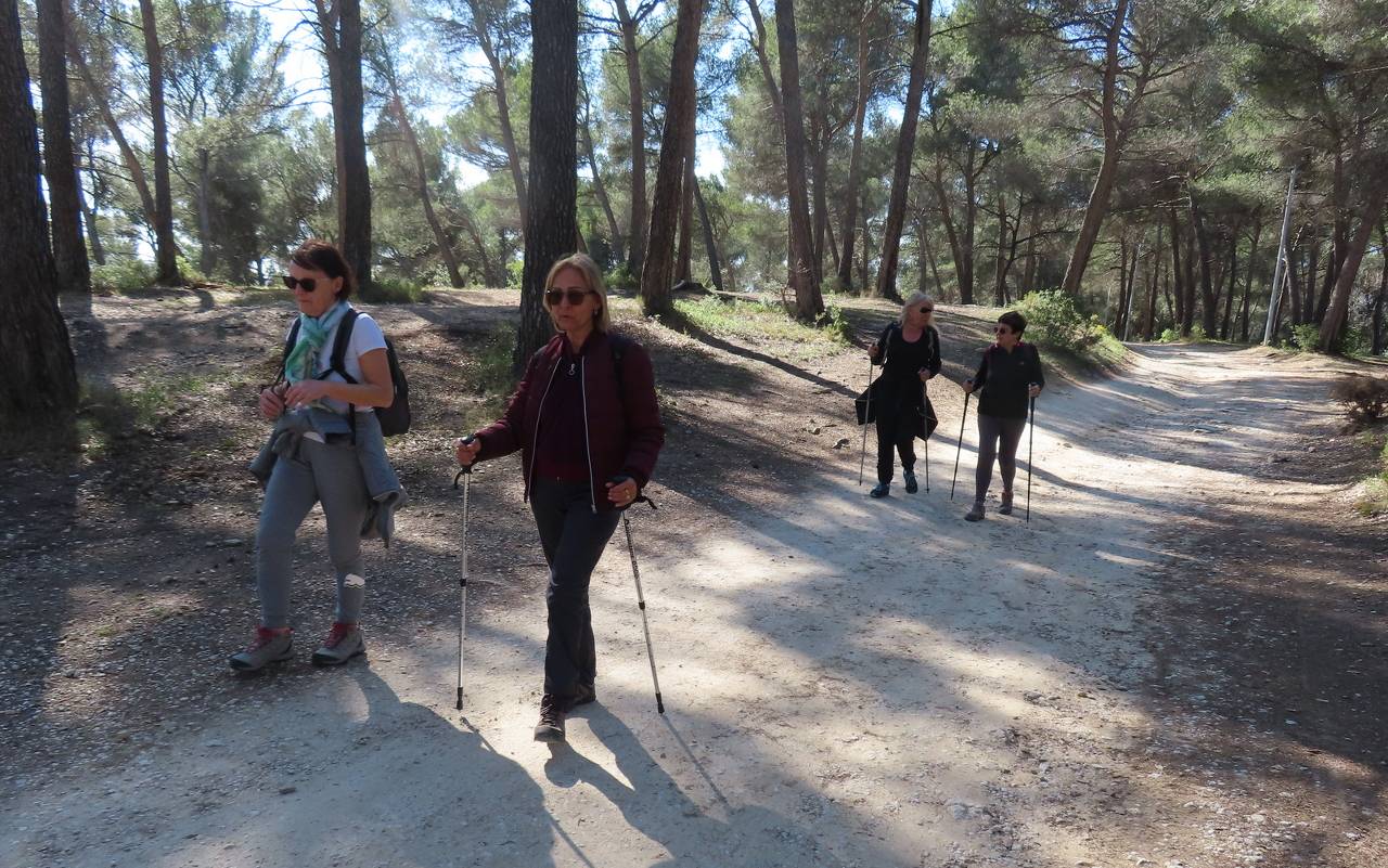 ( Colette ) Bouc Bel Air - Jeudi après-midi 7 mars 2024 ZyGpPA