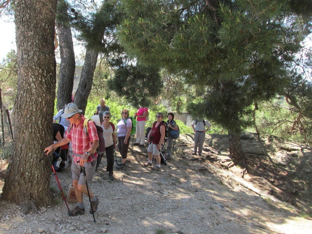 Cucuron - Jeudi matin 18 juin 2015 44MGPF