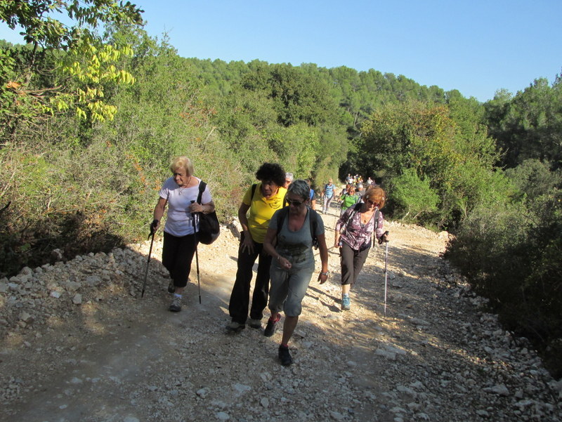 La Merindole- Jeudi 16 octobre 2014 Lt2qoy